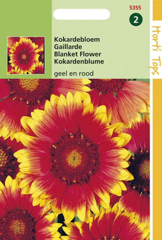 Blanket Flower (Gaillardia aristata) 250 seeds